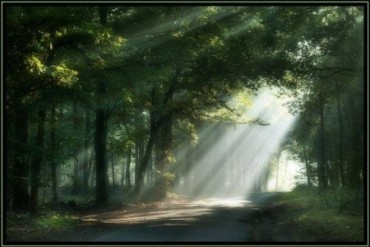 L&rsquo;Ethique de Spinoza (R&eacute;sum&eacute;)