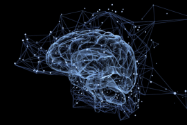 Le secret de la cognition : de Schmitt à la Science