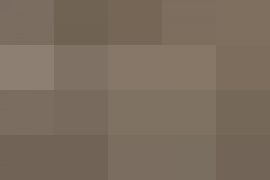 Il faut s’adapter, sur un nouvel impératif politique – Barbara Stiegler