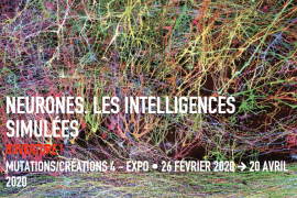 Intelligence Artificielle & Philosophie: l’AI est-elle une représentation de l’intelligence parmi d’autres ?