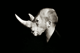 Le chantage à l’Aufklärung. Foucault, Adorno et Kuhn