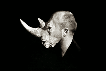 Le chantage &agrave; l&rsquo;Aufkl&auml;rung. Foucault, Adorno et Kuhn