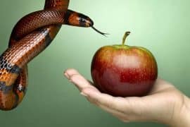 Le Désir : Perspectives Philosophiques, Socio-écologiques et Psychologiques