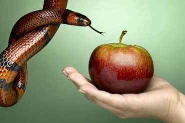 Le Désir : Perspectives Philosophiques, Socio-écologiques et Psychologiques