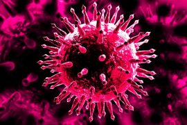 Que nous apprend l’expérience du virus ? Une approche philosophique de la maladie